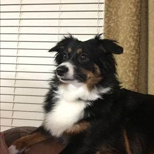 Meet your Posher, Jack